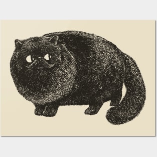 Black Cat Cat Posters and Art